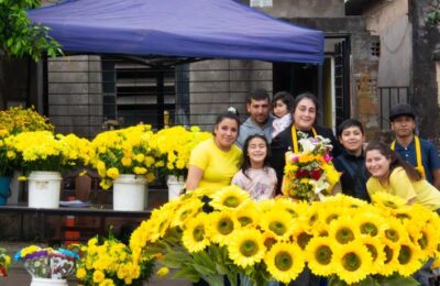 Flores amarillas: el negocio que florece cada primavera en Tafí Viejo