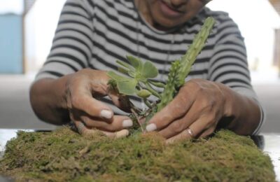 Tafí Viejo apuesta a la comunidad con talleres de arte botánico japonés