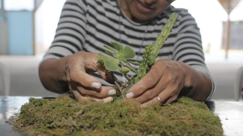 Tafí Viejo apuesta a la comunidad con talleres de arte botánico japonés