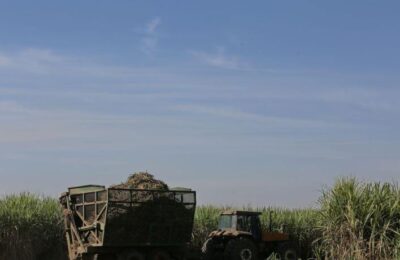 Zafra récord: Argentina supera los 18 millones de toneladas de caña