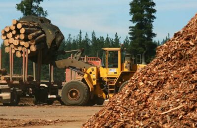 Crisis forestal: “El ajuste cayó sobre las pymes y no sobre la casta”