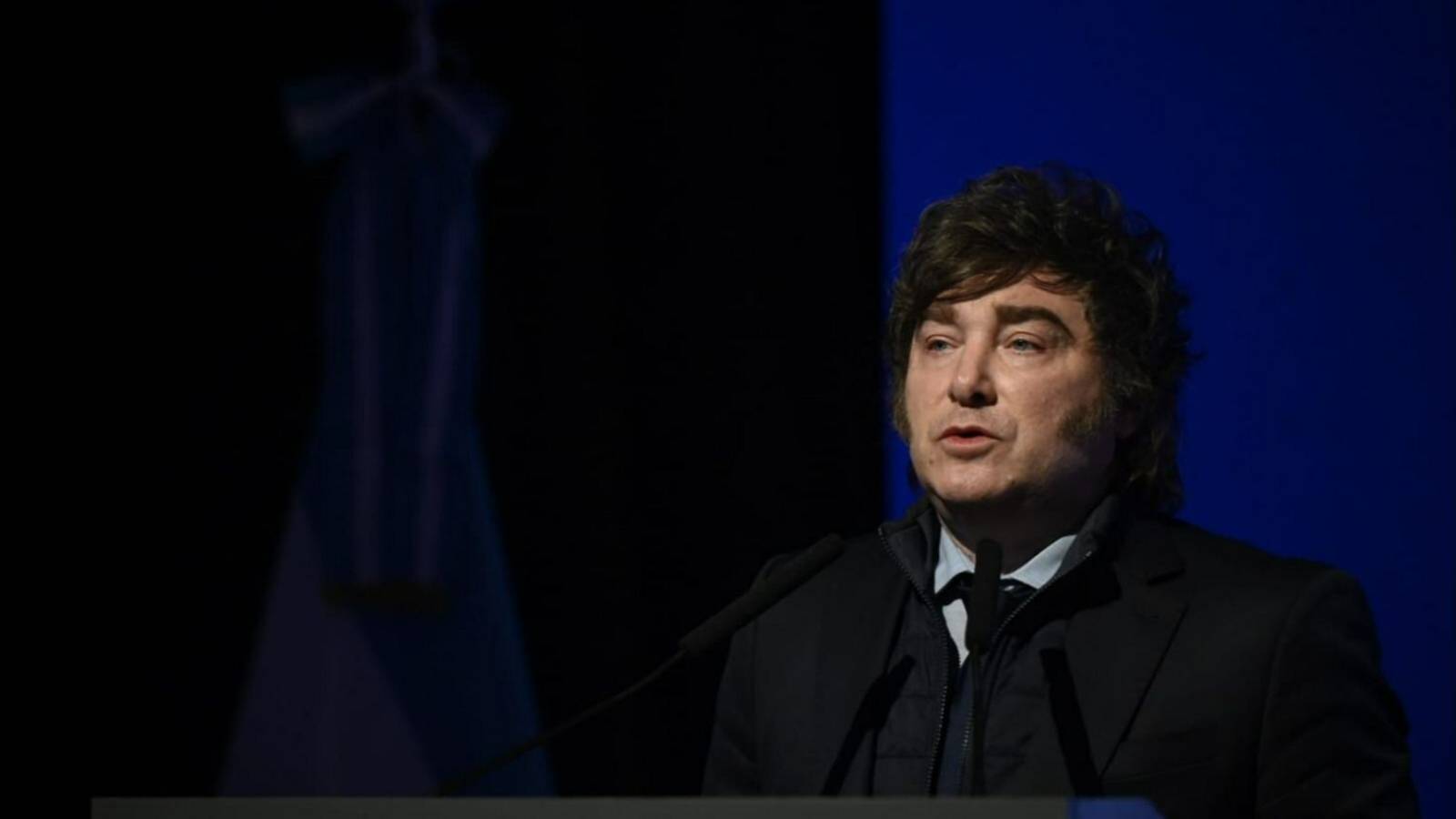 Milei despega a París tras negar la recesión y afirmar: 'No hay crisis'