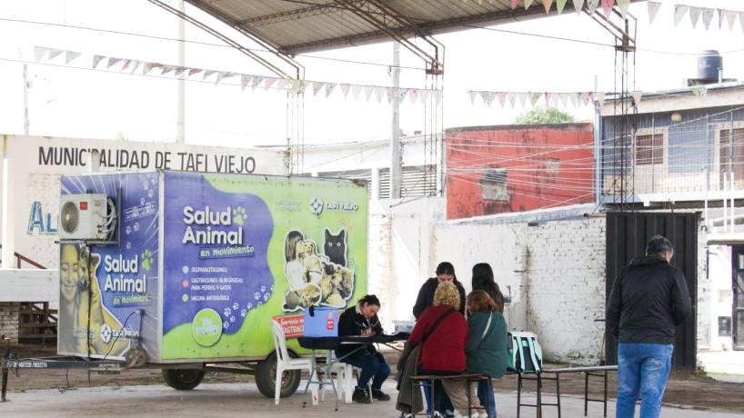 Salud Animal en Movimiento: el tráiler municipal que transforma la tenencia responsable