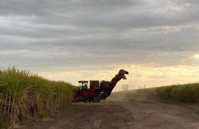 La zafra tucumana supera el 68% pese a las lluvias y define el precio del bioetanol
