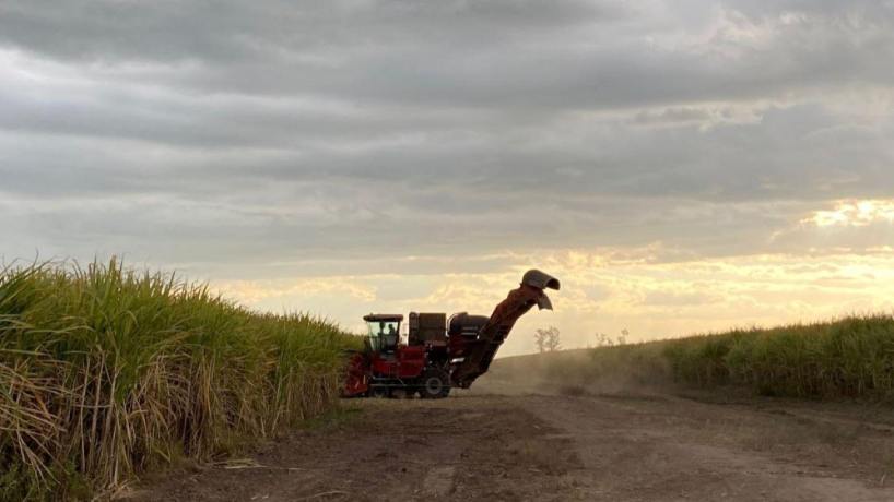 La zafra tucumana supera el 68% pese a las lluvias y define el precio del bioetanol