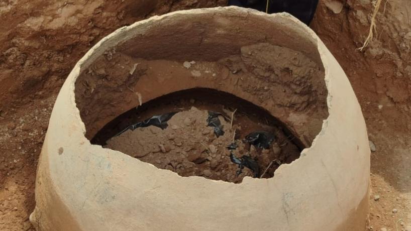Chuscha desentierra su historia: hallan urnas funerarias de más de mil años