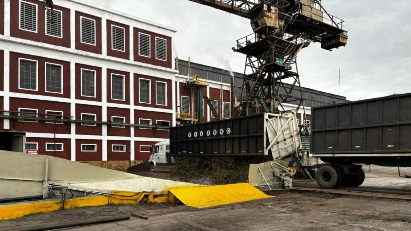 La zafra tucumana arranca fuerte: ya molió el 73% de la caña estimada