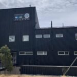 Ciencia en jaque: cómo una levadura patagónica desafía el desfinanciamiento