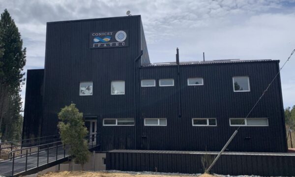 Ciencia en jaque: cómo una levadura patagónica desafía el desfinanciamiento