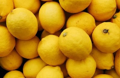 Tafí Viejo consolida su liderazgo citrícola: récord de exportación y nuevas plantas de empaque