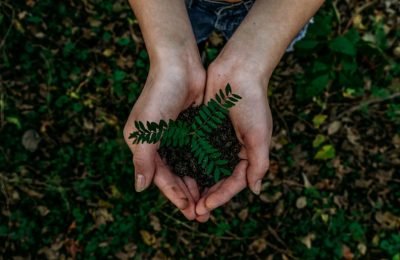 Reforestación y cuidado ambiental: suman 3.000 árboles nativos en la cuenca taficeña